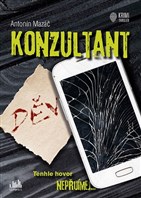 Konzultant