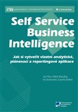 Self Service Business Intelligence