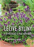 Léčivé byliny v květináči a na zahradě