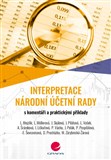 Interpretace Národní účetní rady