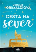 Cesta na sever