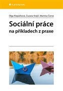 Sociální práce na příkladech z praxe