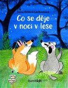 Co se děje v noci v lese